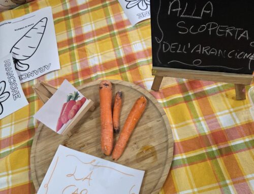 🧡 Alla scoperta dell’Arancione 🥕