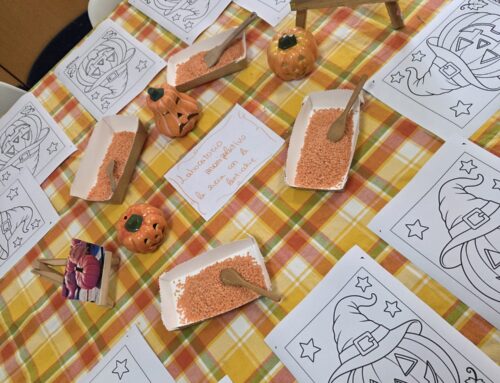 🎃 Zucca di Halloween e Foglie d’autunno 🍁
