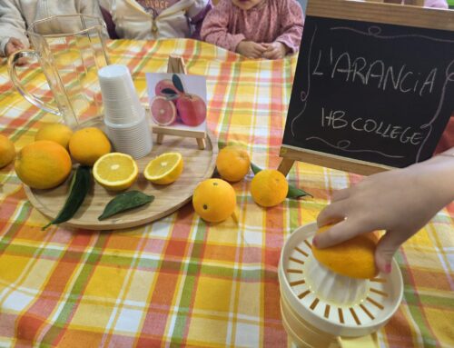 🍊Tra Arance e piccoli fantasmi 👻